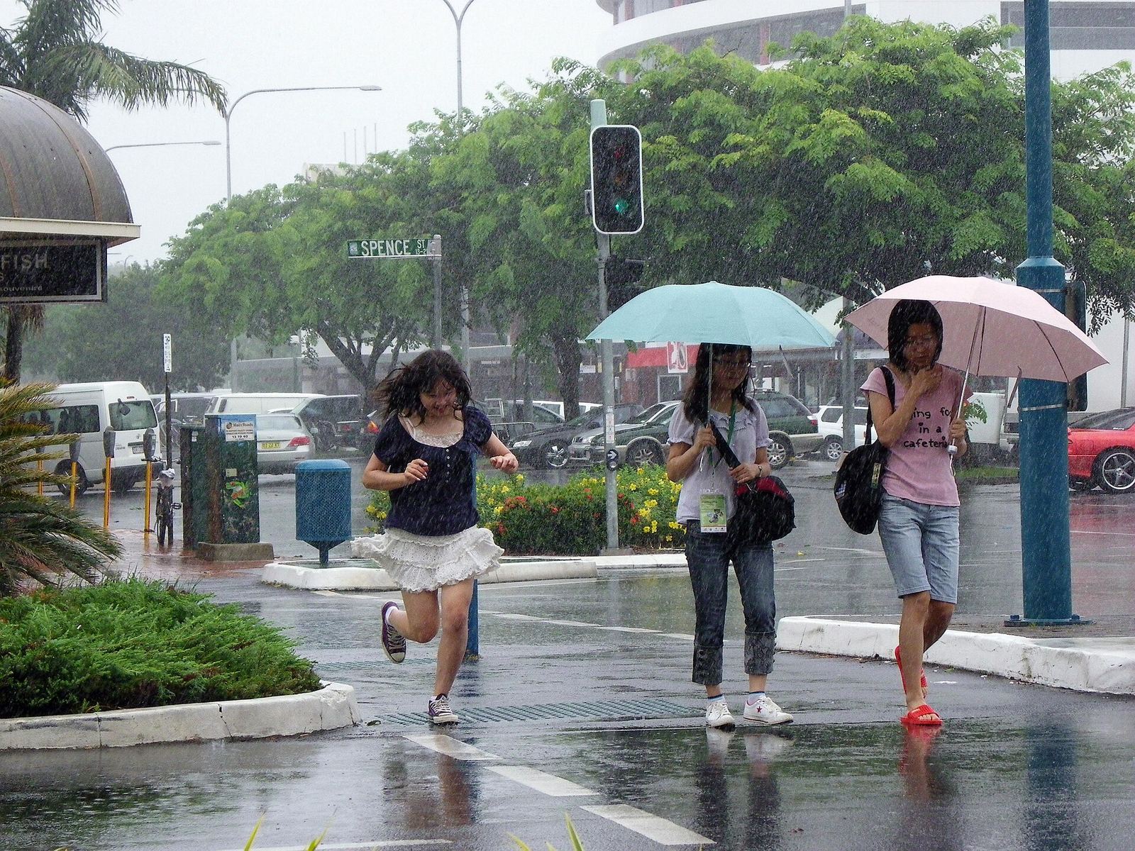 Heavy tropical rain falling on lush green vegetation