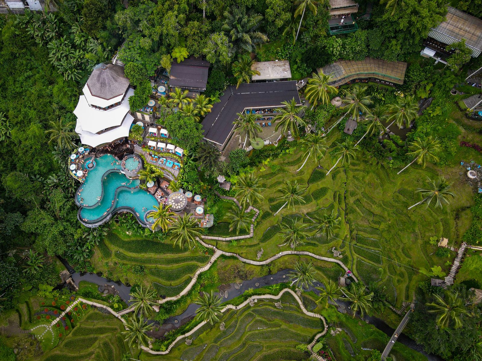A quiet Ubud property surrounded by dense tropical greenery