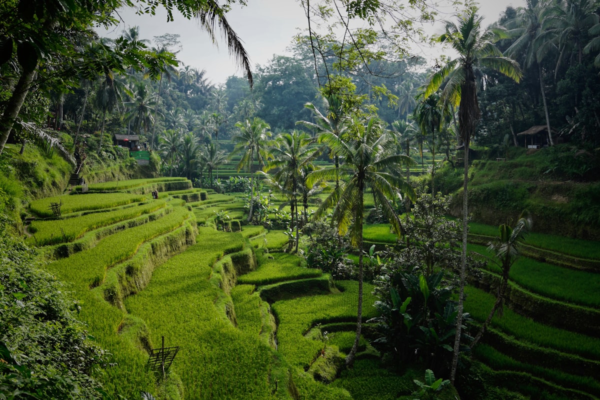 How Many Days in Ubud Is Enough? A Local’s Honest Guide