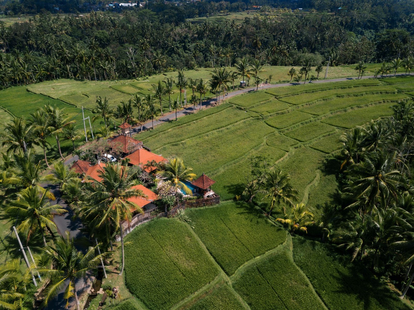 Private villa near rice fields in Bali with outdoor living space