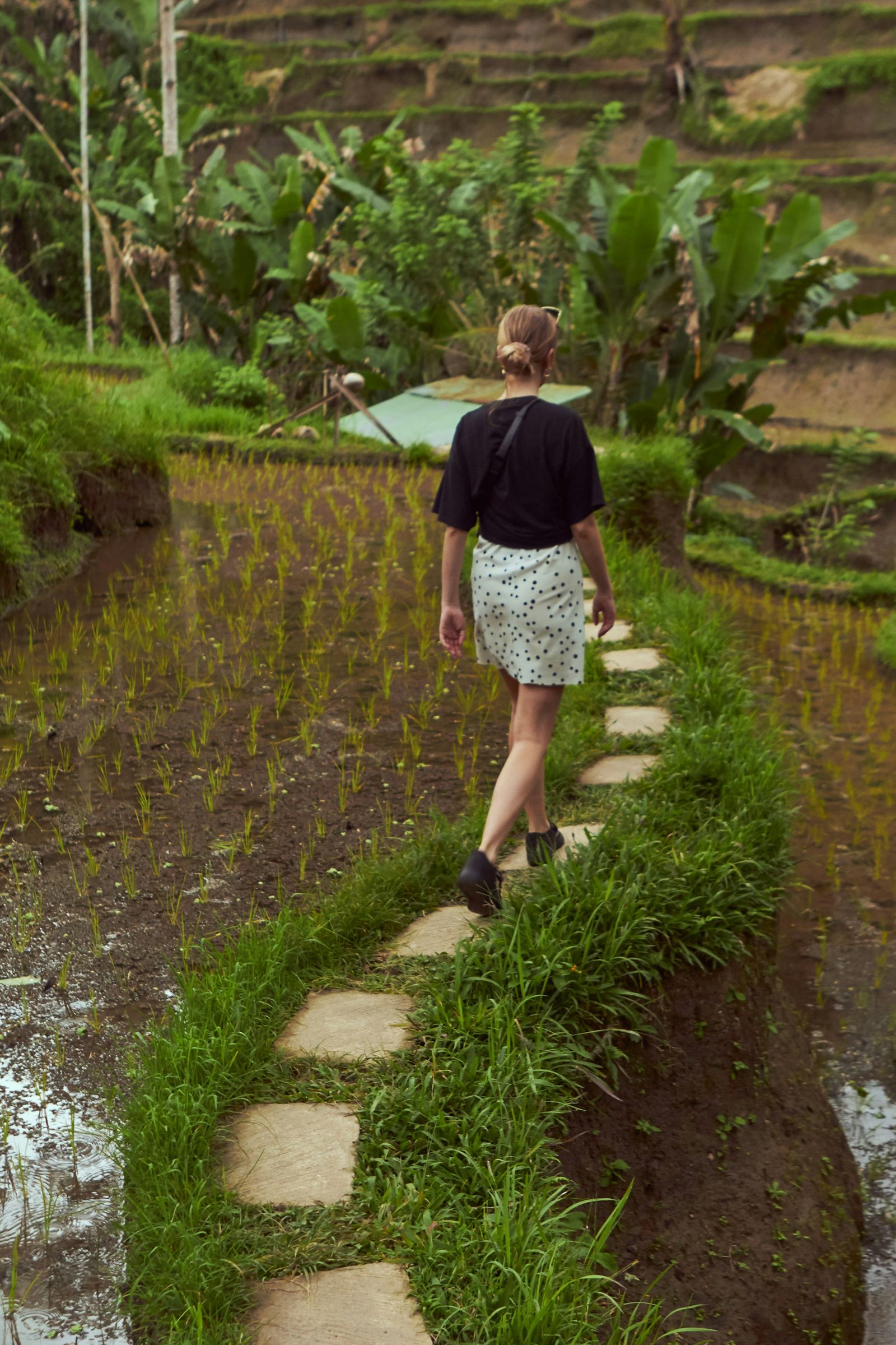 A woman walking alone through rice fields in Bali
